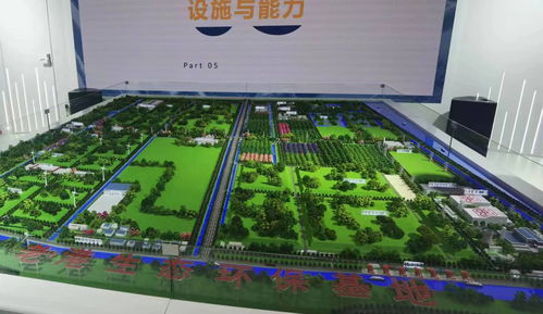 低碳 音律铿锵 逐绿 步履轻健 首届上海国际碳博览会举办,近600家企业带来千余种技术 产品